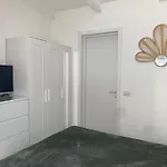 Lupicante 56 Apartman Cesenatico