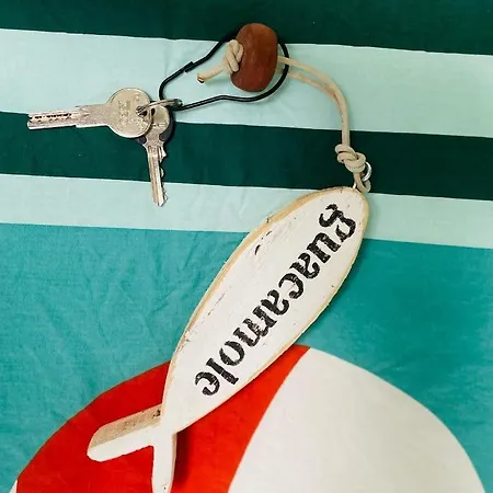 Lupicante 56 Lejlighed