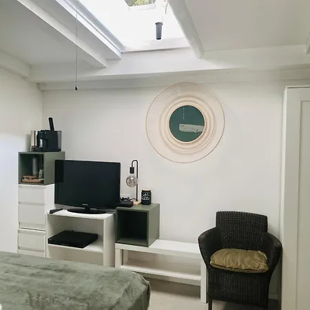 Lupicante 56 Cesenatico