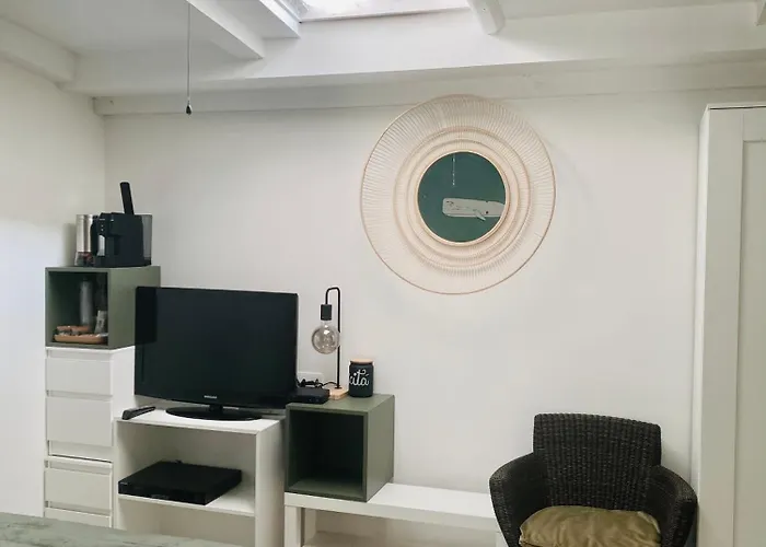 Lupicante 56 Cesenatico